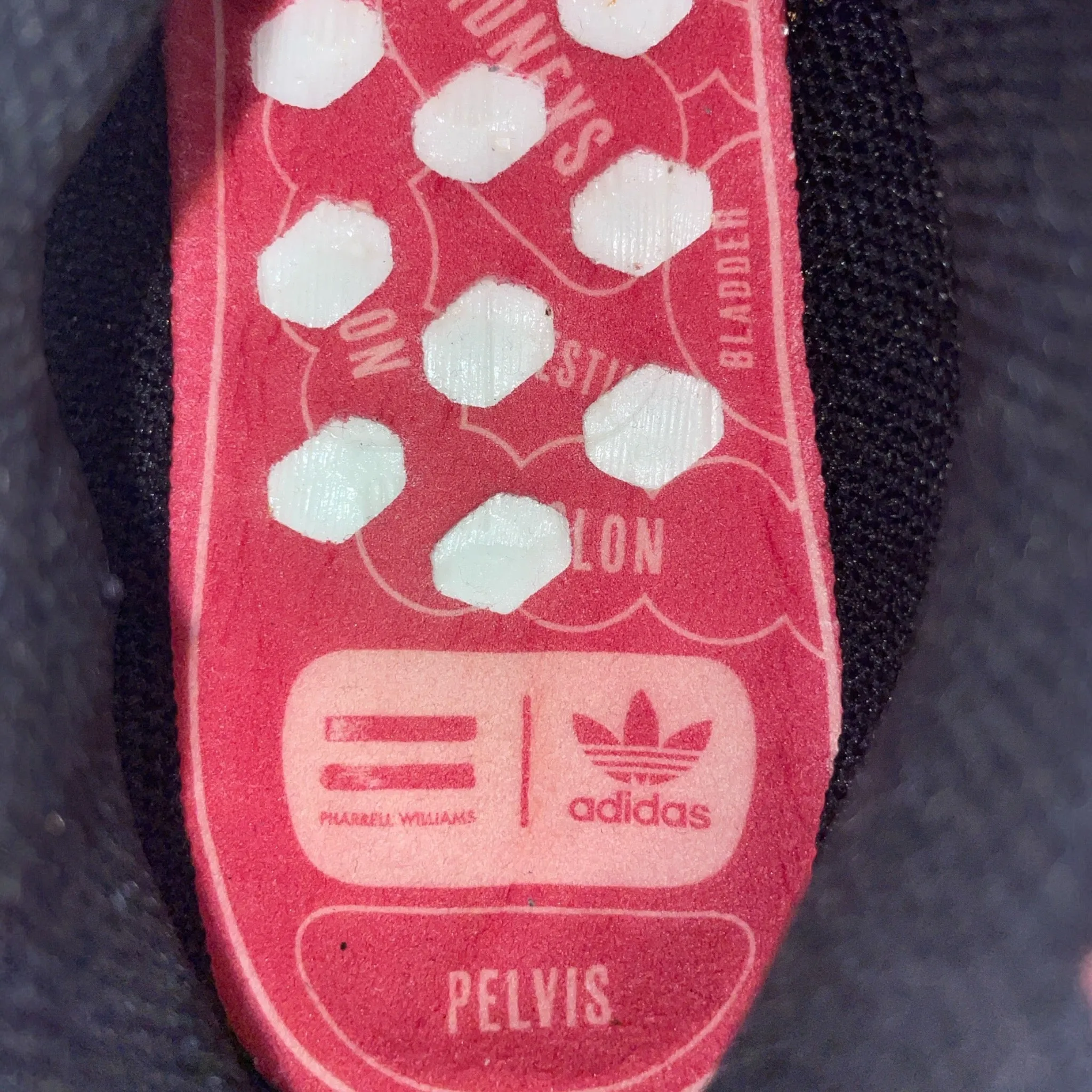 ADIDAS/Low-Sneakers/US 10/Animal Pattern/Nylon/ORN//ADIDAS HUMAN RACE/