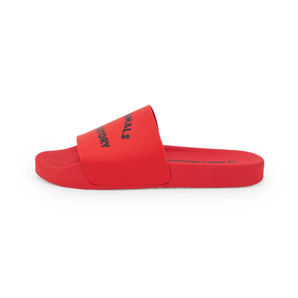 Flip-Floops in Red by The Animals Observatory