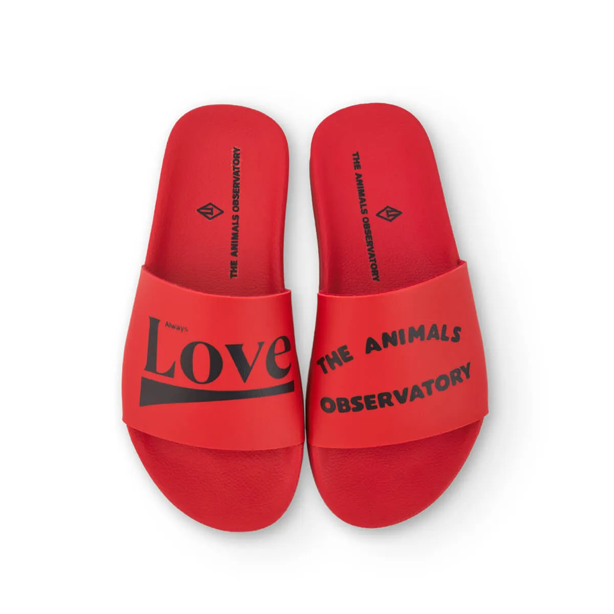 Flip-Floops in Red by The Animals Observatory