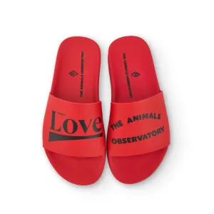 Flip-Floops in Red by The Animals Observatory