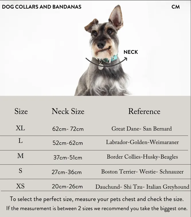 Green pine leather dog collar