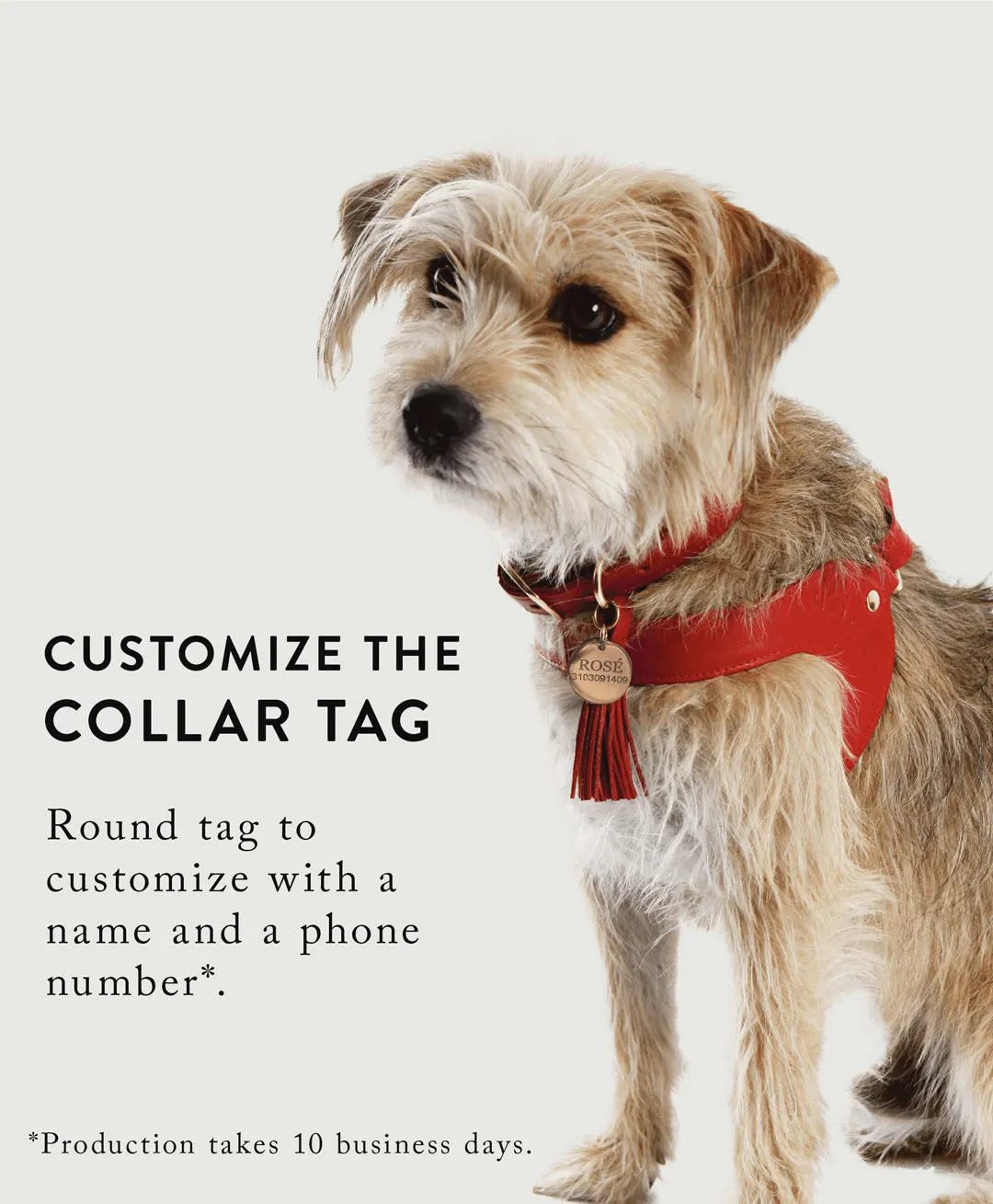 Green pine leather dog collar