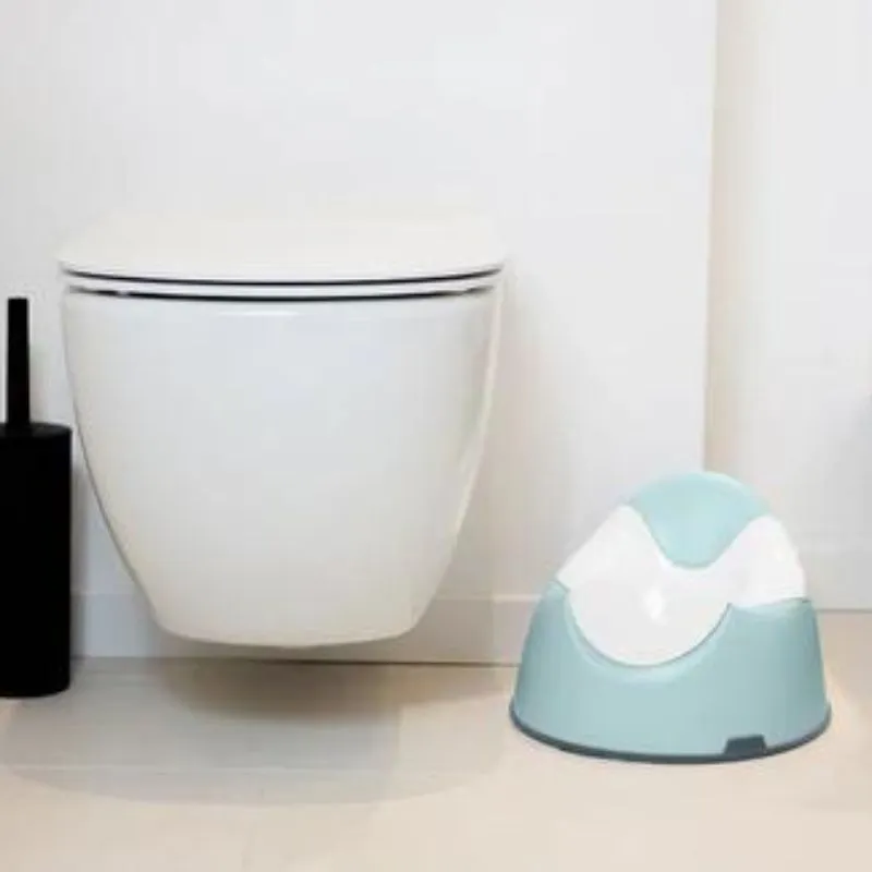 Training Potty